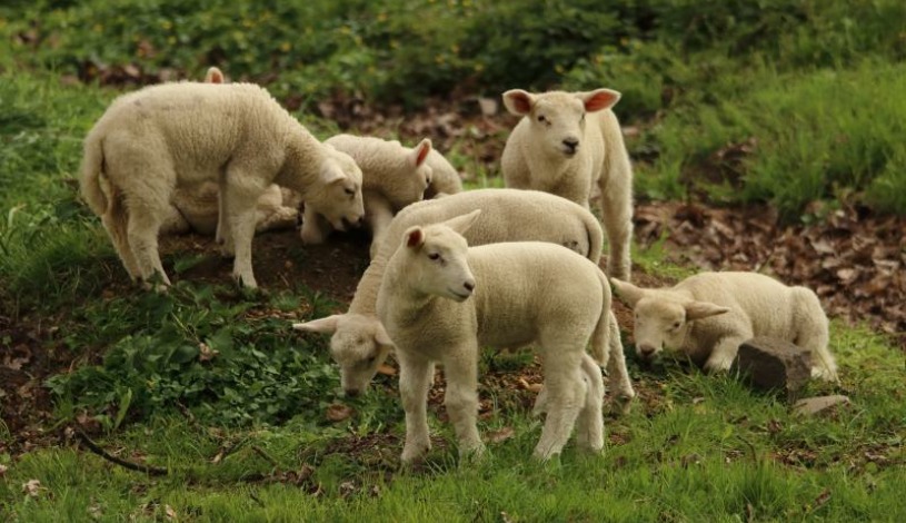 Hotel CROCUS **** Vysoké Tatry